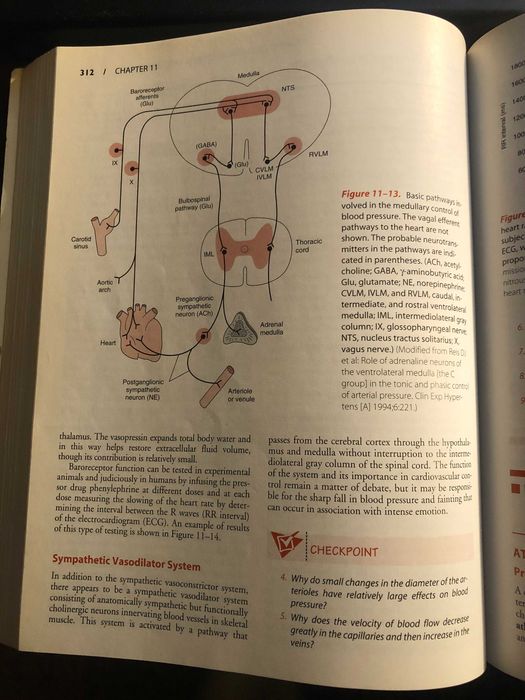 Pathophysiology of disease