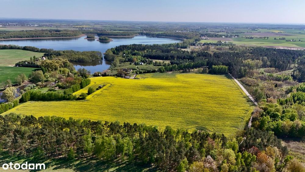 DZIAŁKA Budowlana Nad Jeziorem Stelchno - Widok 3