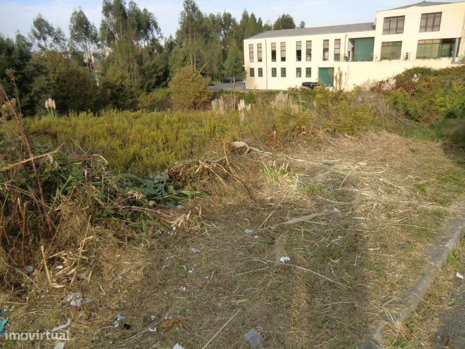 Terreno,Macieira Sarnes,Oliveira Azemeis — Macieira de Sarnes, Aveiro