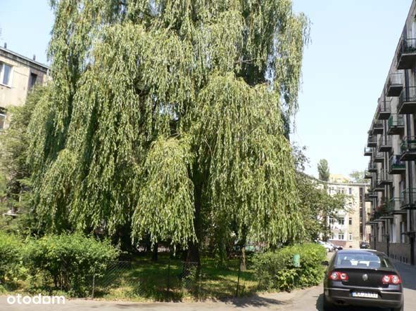 Centrum, Rozkładowe, bezpośrednio