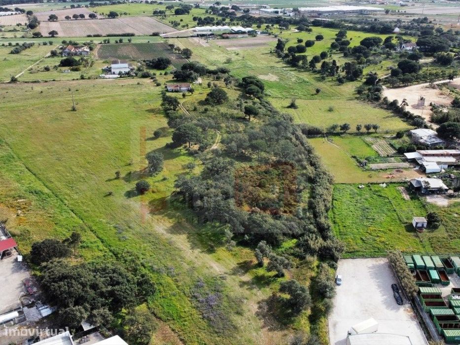 5.5-Hectare Plot in Alcochete