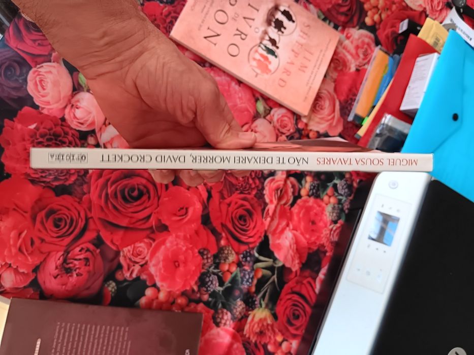 Não te deixarei morrer David Crockett