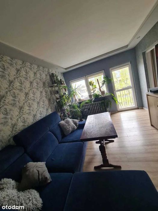 2-pokojowe mieszkanie na Teofilowie, Łódź