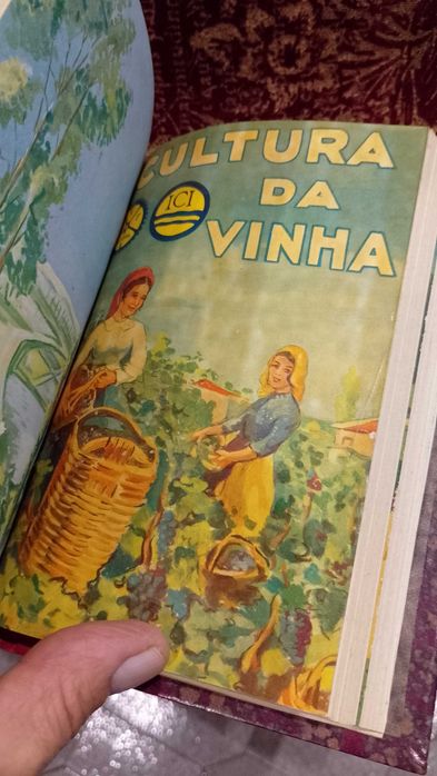CUF Companhia União Fabril - António Luís de Seabra