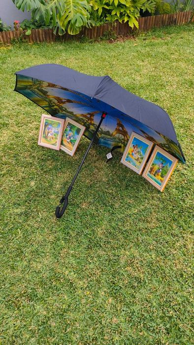 Kit DisneyLand Paris - Guarda-chuva + 4 quadros