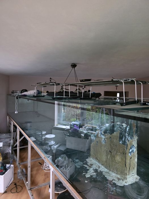 Odpieniacz pompa osprzęt do akwarystyki morskiej