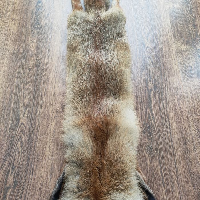 Kołnierz z lisa rudego futro naturalne