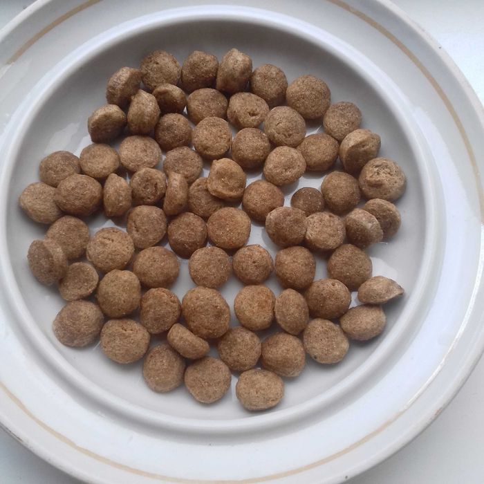 Отдам в Дар свежий и вкусный сухой корм для собак из мяса говядины.