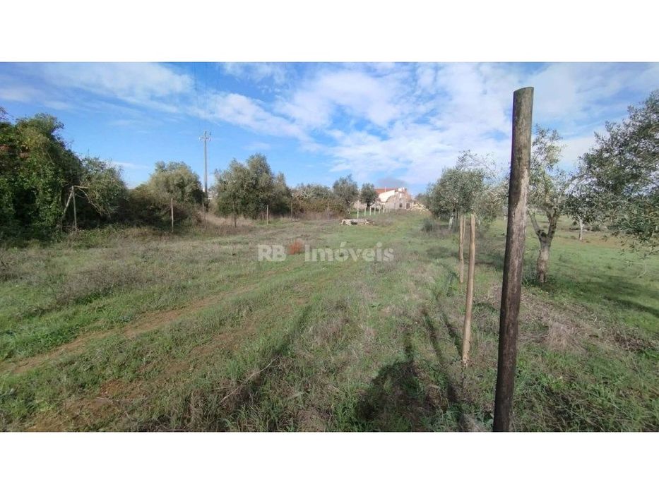 Terreno misto com 3080 m2, em Delongo