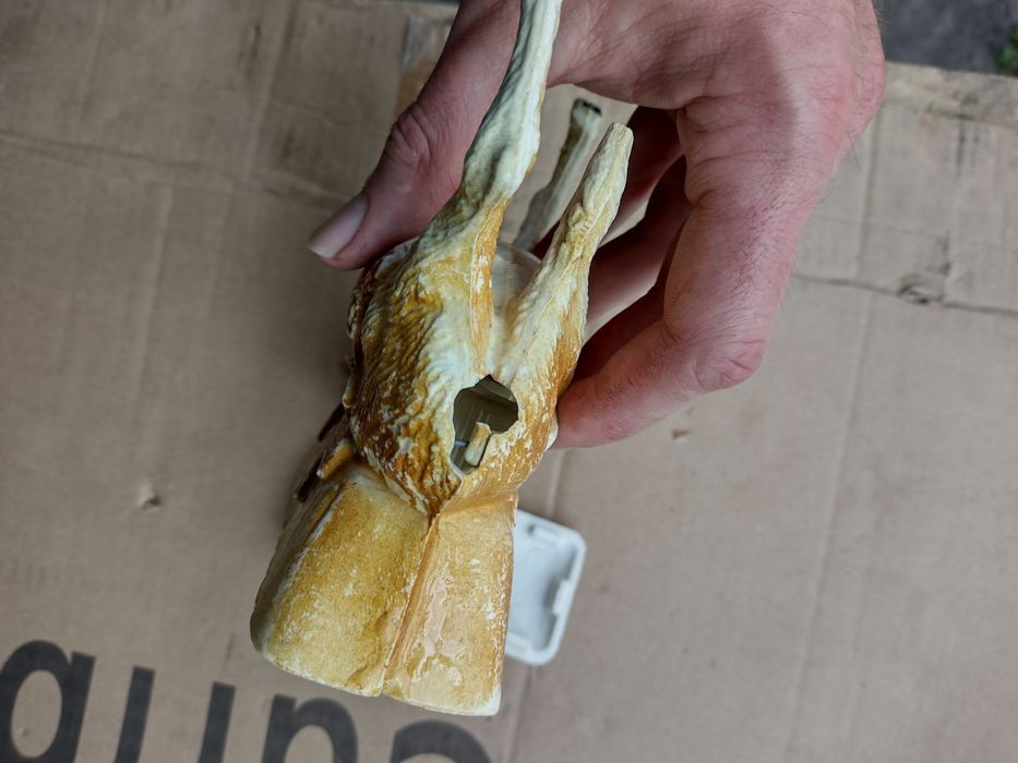 Сувенір СССР ослик осел пластиковий механическая нажимая на уши СРСР