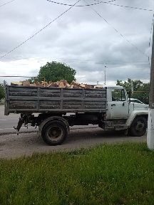 Продам дрова тополь, орех,клен