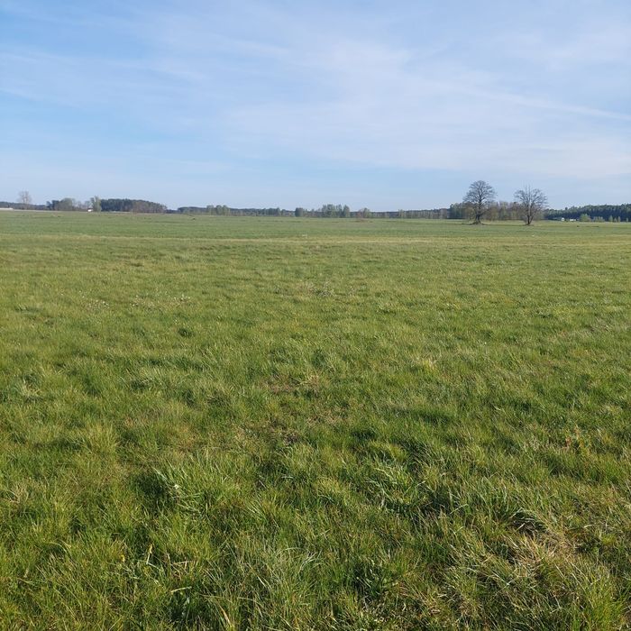 Działki budowlane Łyse 11ar