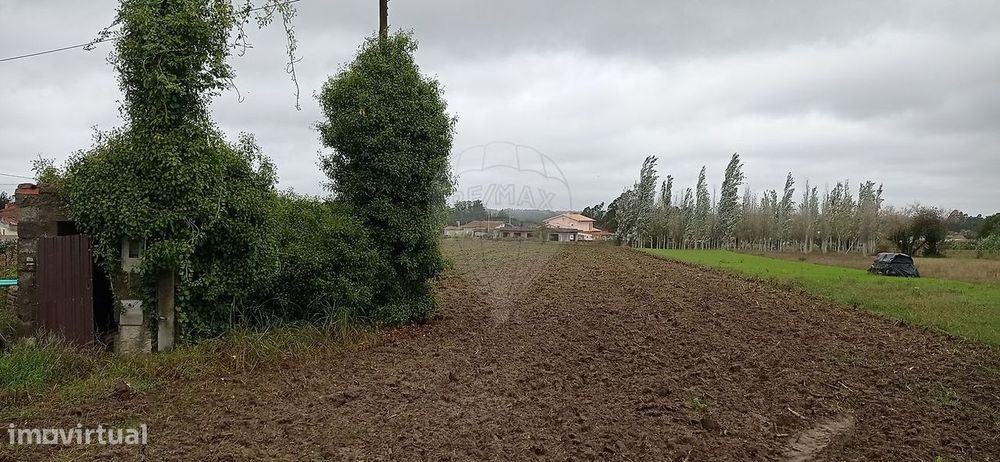 Terreno  para venda