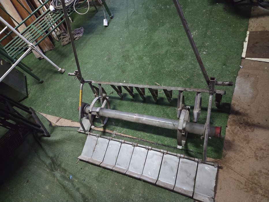 Semeador de cenouras