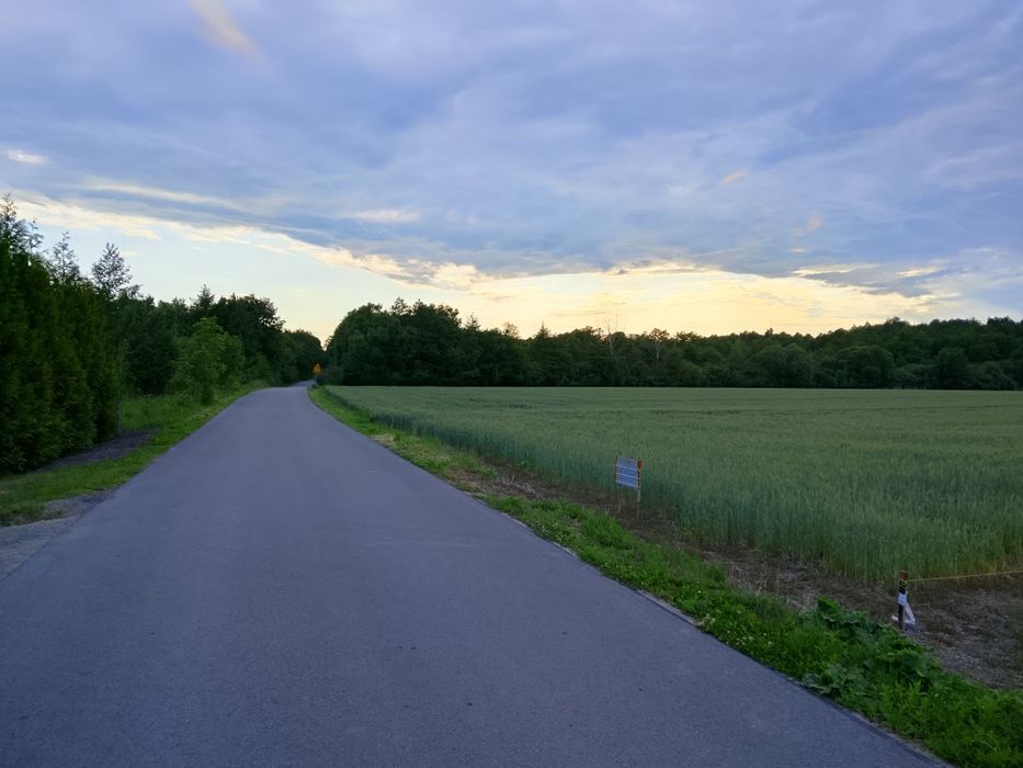 Działka budowlana 2016 m² - View 4