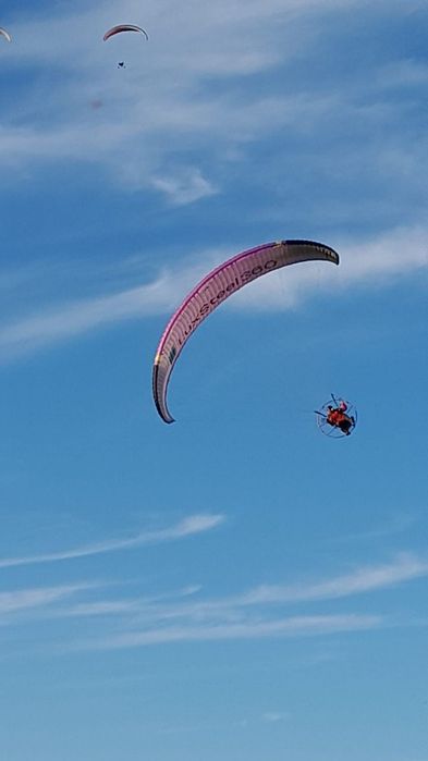 Paramotor asa niviuk cougar 3