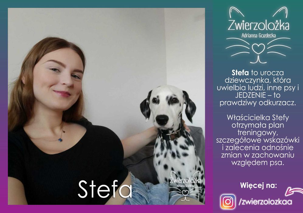 Behawiorysta zoopsycholog – Koty, Psy, Gryzonie