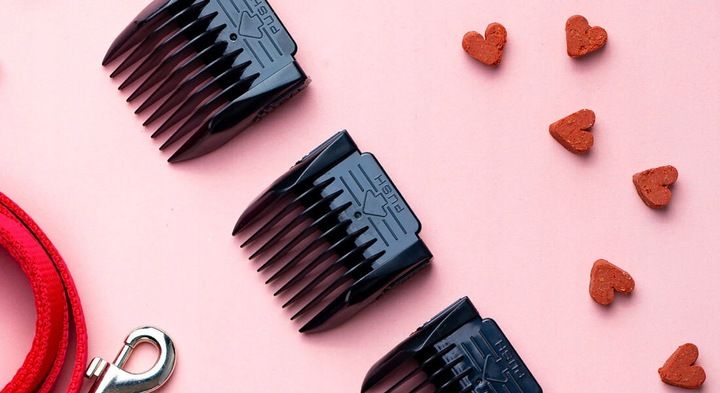 Maszynka Do Strzyżenia Psów Camry Cr 2821