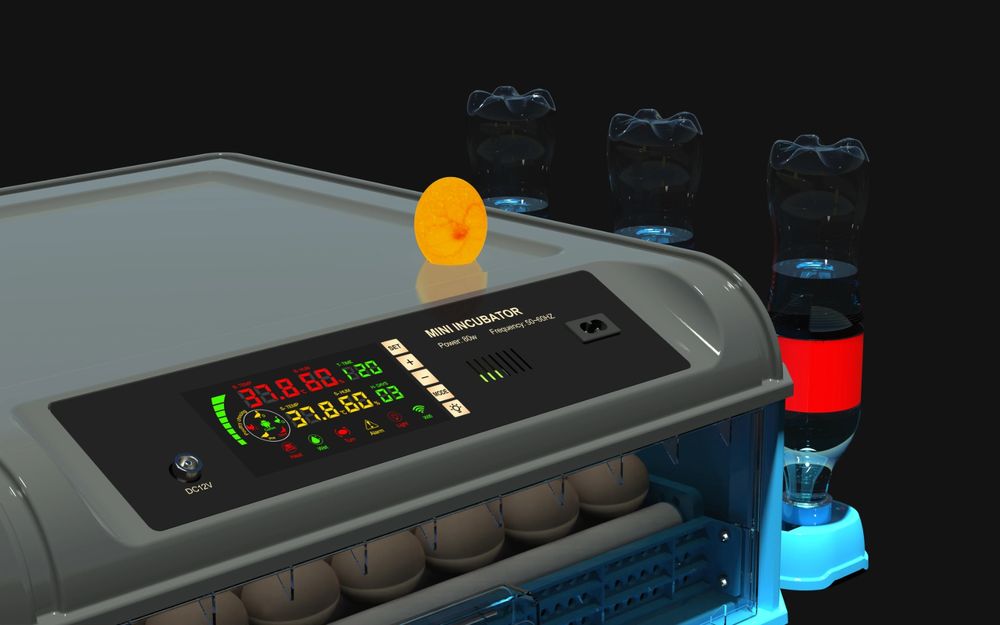 Chocadeira de ovos automática
