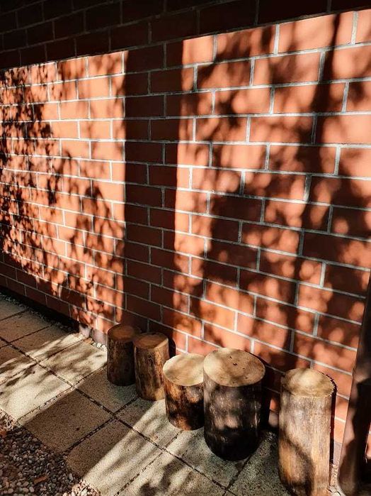 surowe pieńki sosnowe