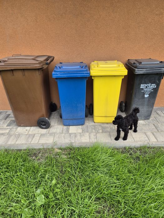 Pojemnk brązowy na bio
