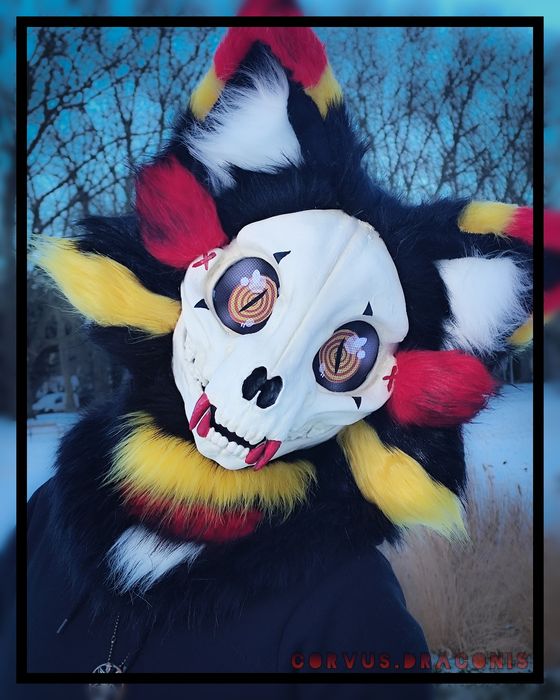 Fursuit skullcat + ogon