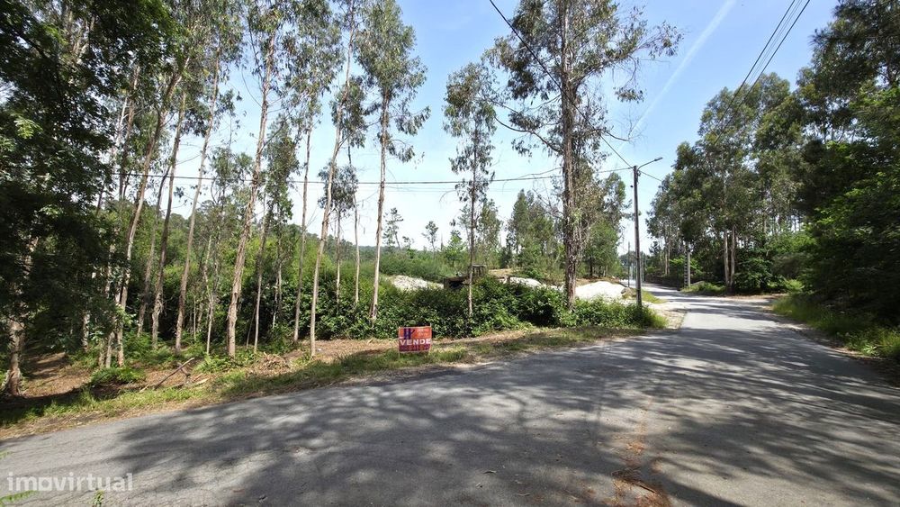 Land for Construction in Fervença, Celorico de Basto