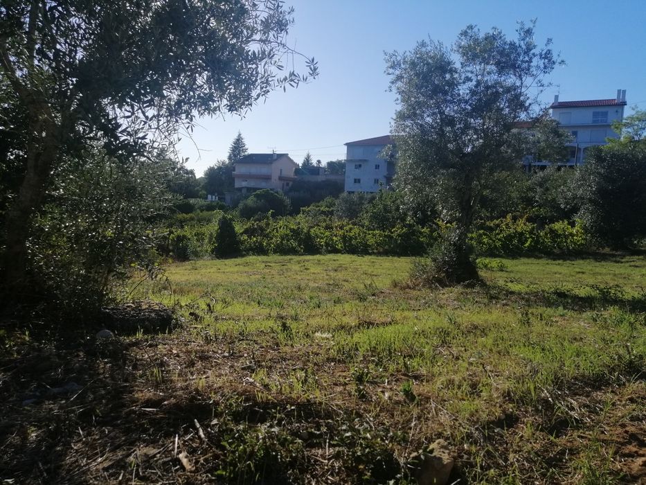 Terreno excelente exposição solar.
