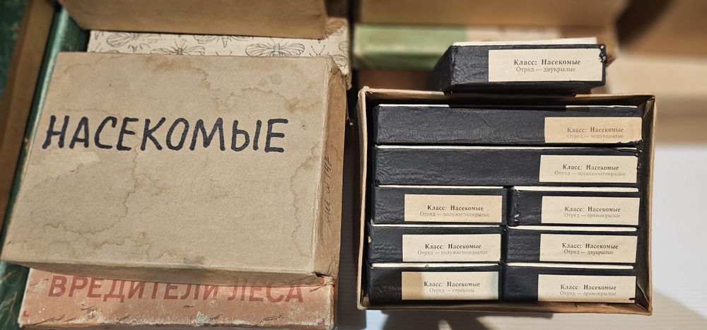 Коллекция учебная насекомые и вредители