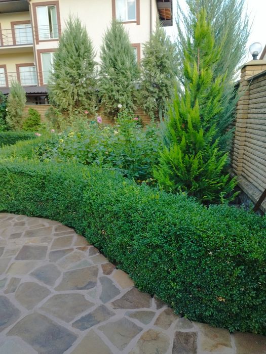 Дом по адресу (площадь 360 м²) - Atlanta.ua - фото 4