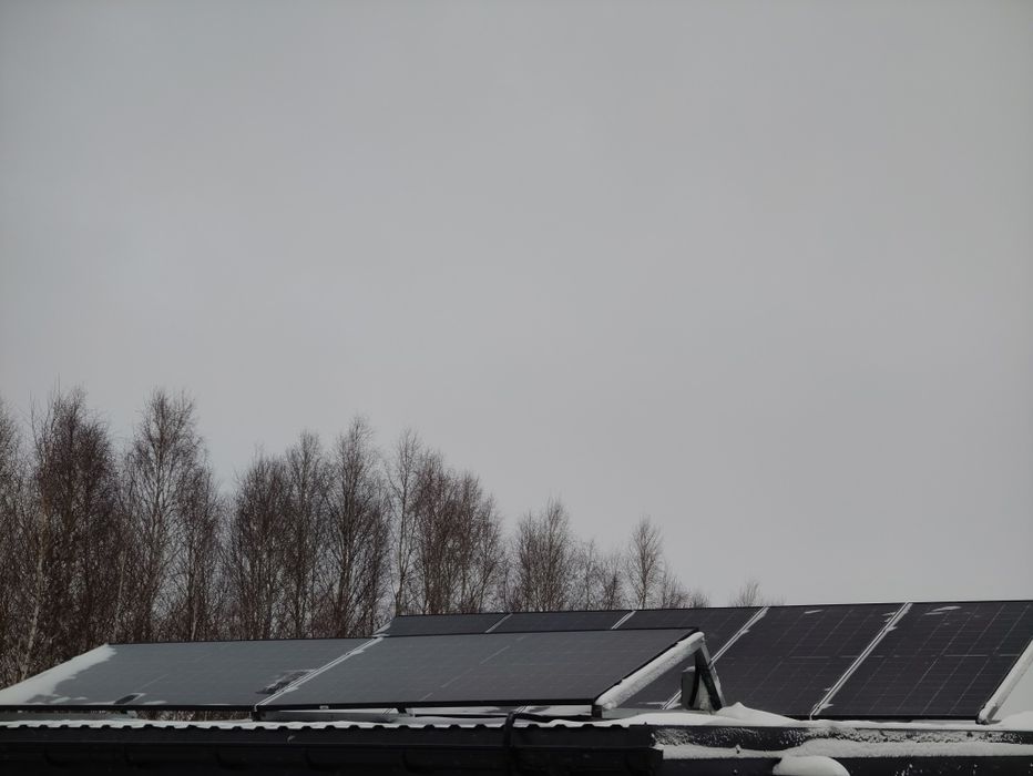 Wycinka i pielęgnacja drzew,  zabieramy gałęzie, odśnieżanie