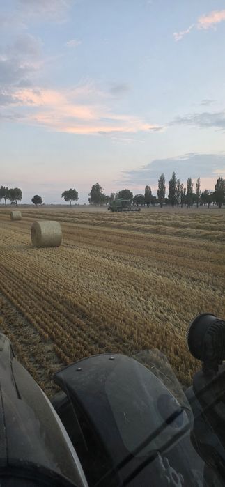 Słoma baloty 160cm tegoroczna