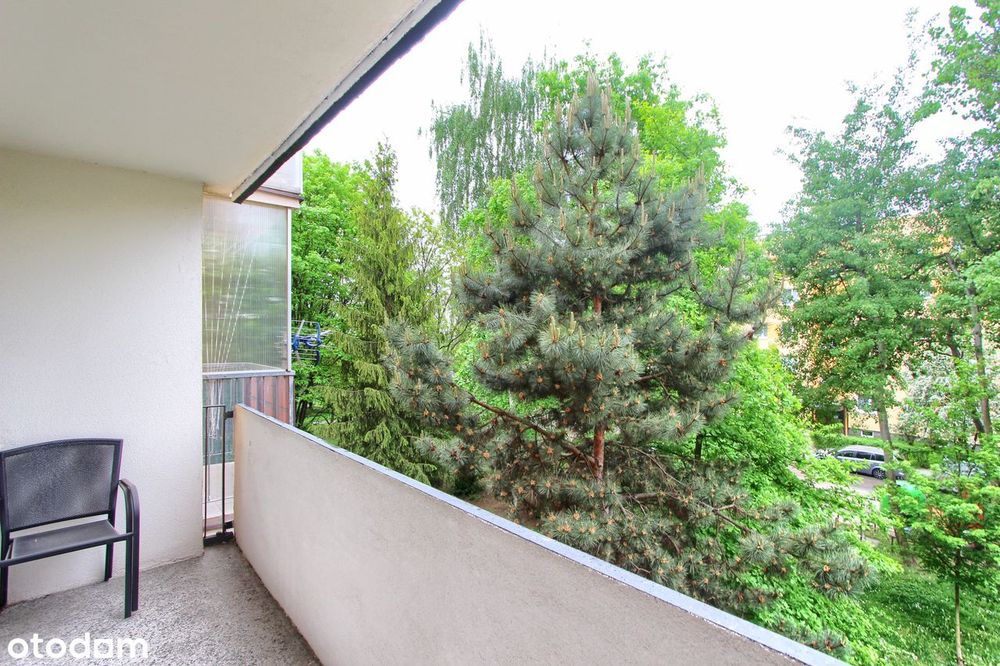 Ładne 3 pokojowe z kuchnią i dużym balkonem. Blok otoczony zielenią - View 6