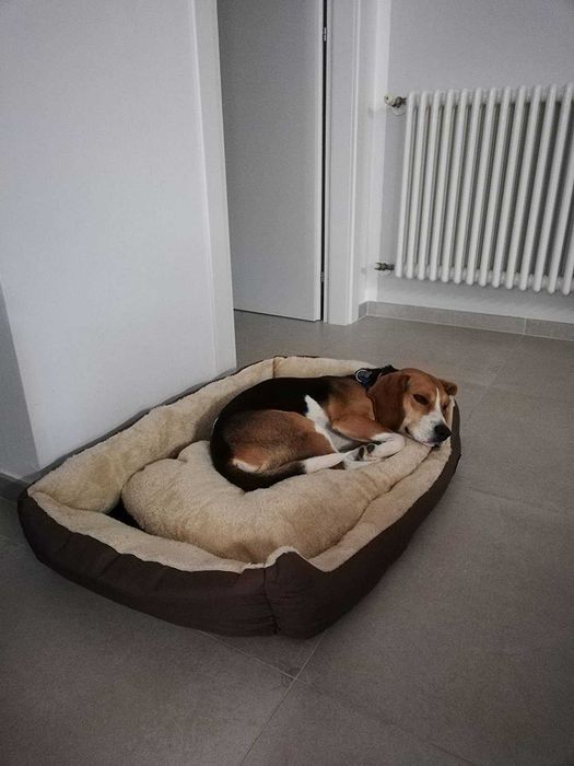 Legowisko dla psa kota posłanie poduszka zwierzęta pies kot NOWE