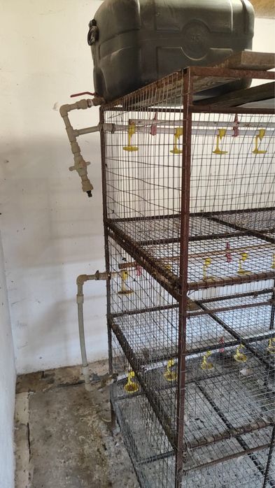 Клетка для птиці ( бройлер )