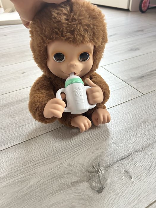 Małpka Mango Litte Lite Pets