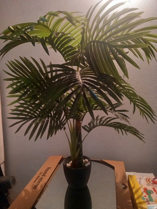 Planta palmeira artificial