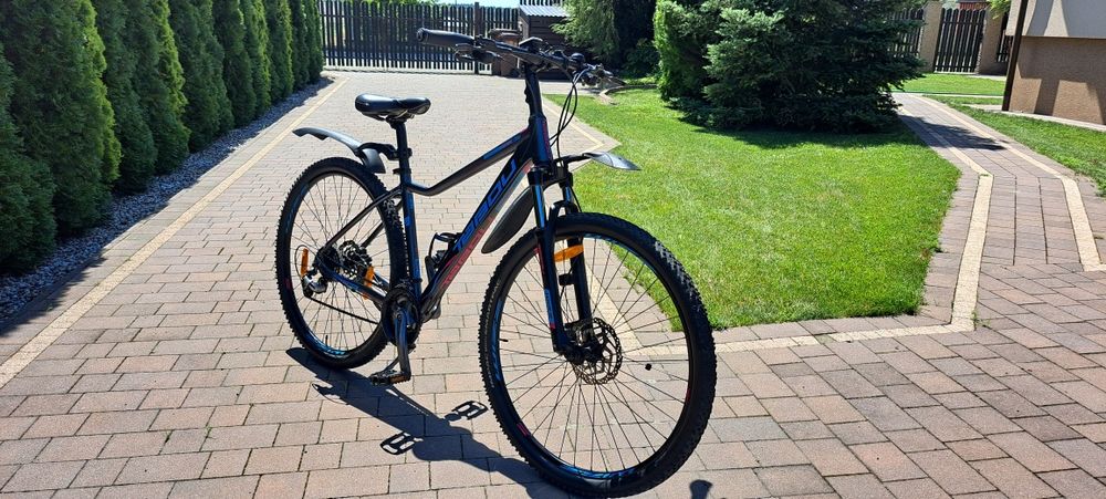 Rower górski Tabou Wizz 2.0.2022