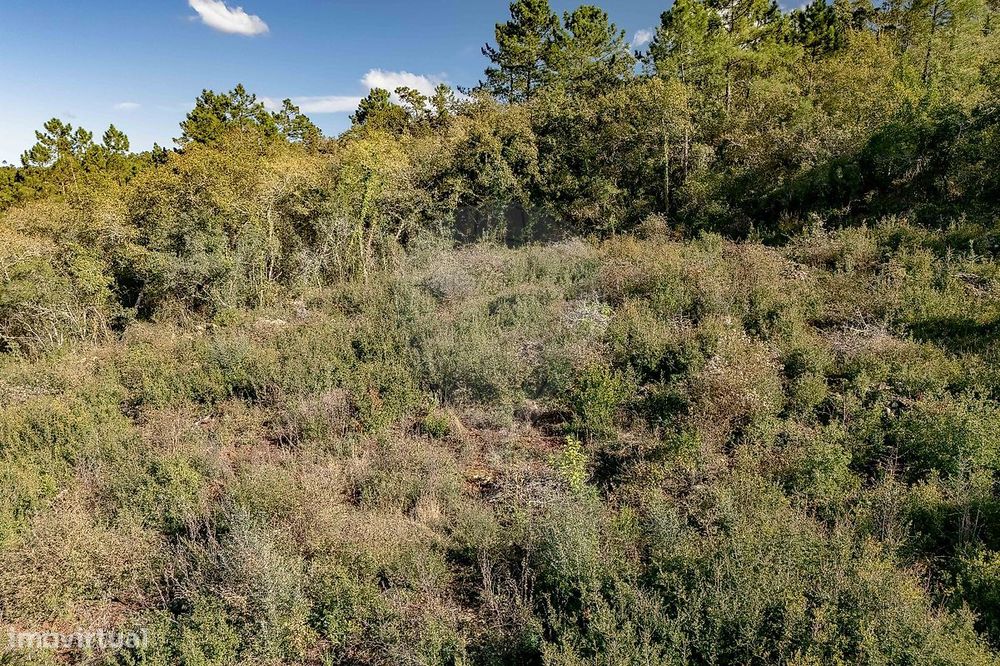 Terreno  para venda