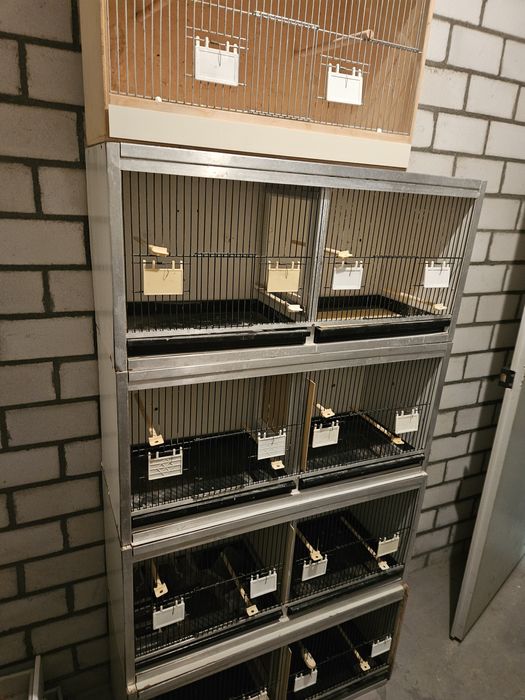 Regał dla ptaków papug kanarków