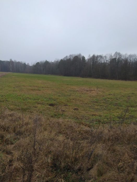 Ziemia rolna 3, 26 h z lasem. na Sprzedaż  105000tyś.  OKAZIA !!!