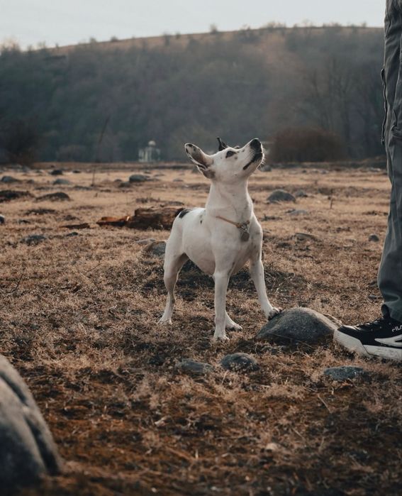 Canon M200 15-45mm stm