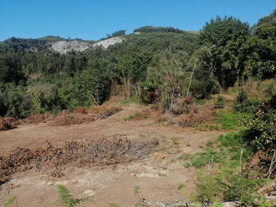 Terreno Rústico (cultivo)