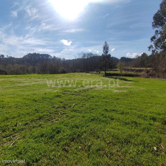 Quinta em Arnóia - Celorico de Basto