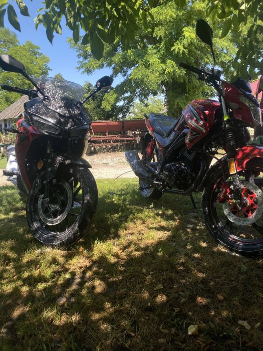 Lifan kpr250 10 s 2025