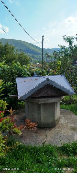 Будинок з ставком у Карпатах