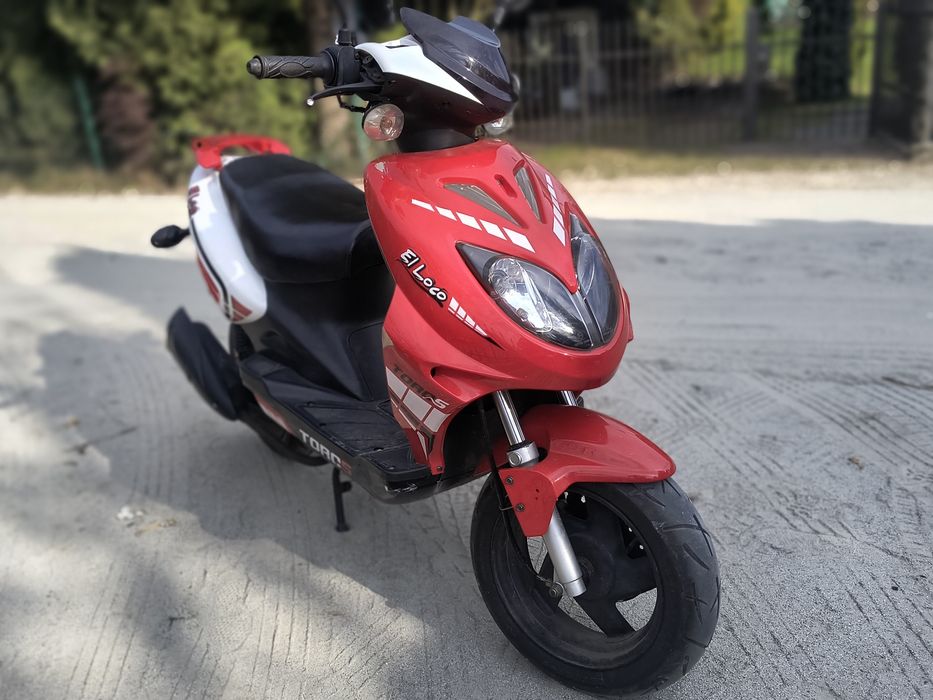 Toros EL Loco 50