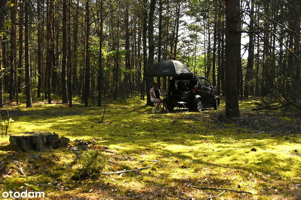 Baśniowa działka leśna nad wodą 1 godz. od Warszawy - 100% autostradą