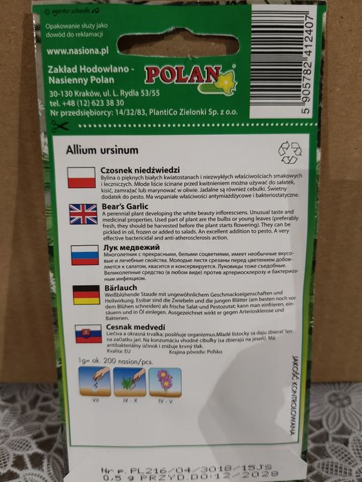 Czosnek niedźwiedzi