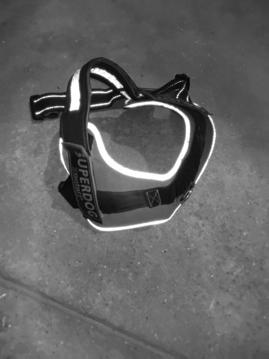 Arnês de cão Refletor
